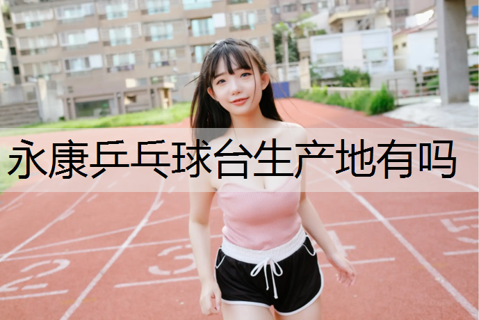 永康乒乓球台生产地有吗