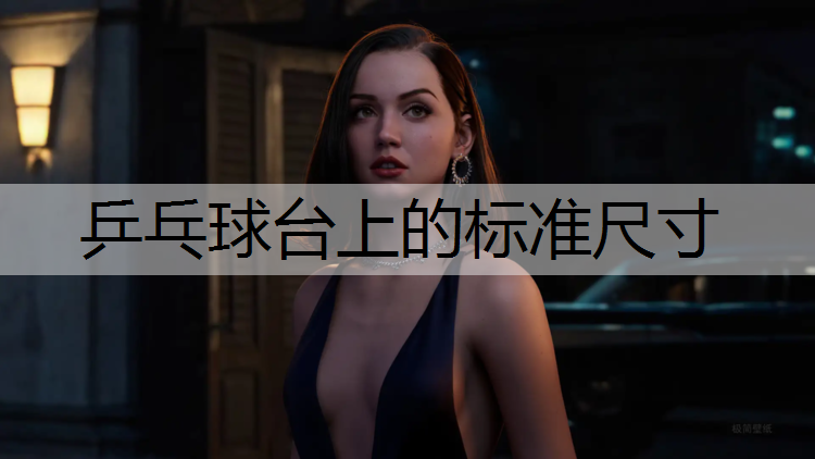 乒乓球台上的标准尺寸